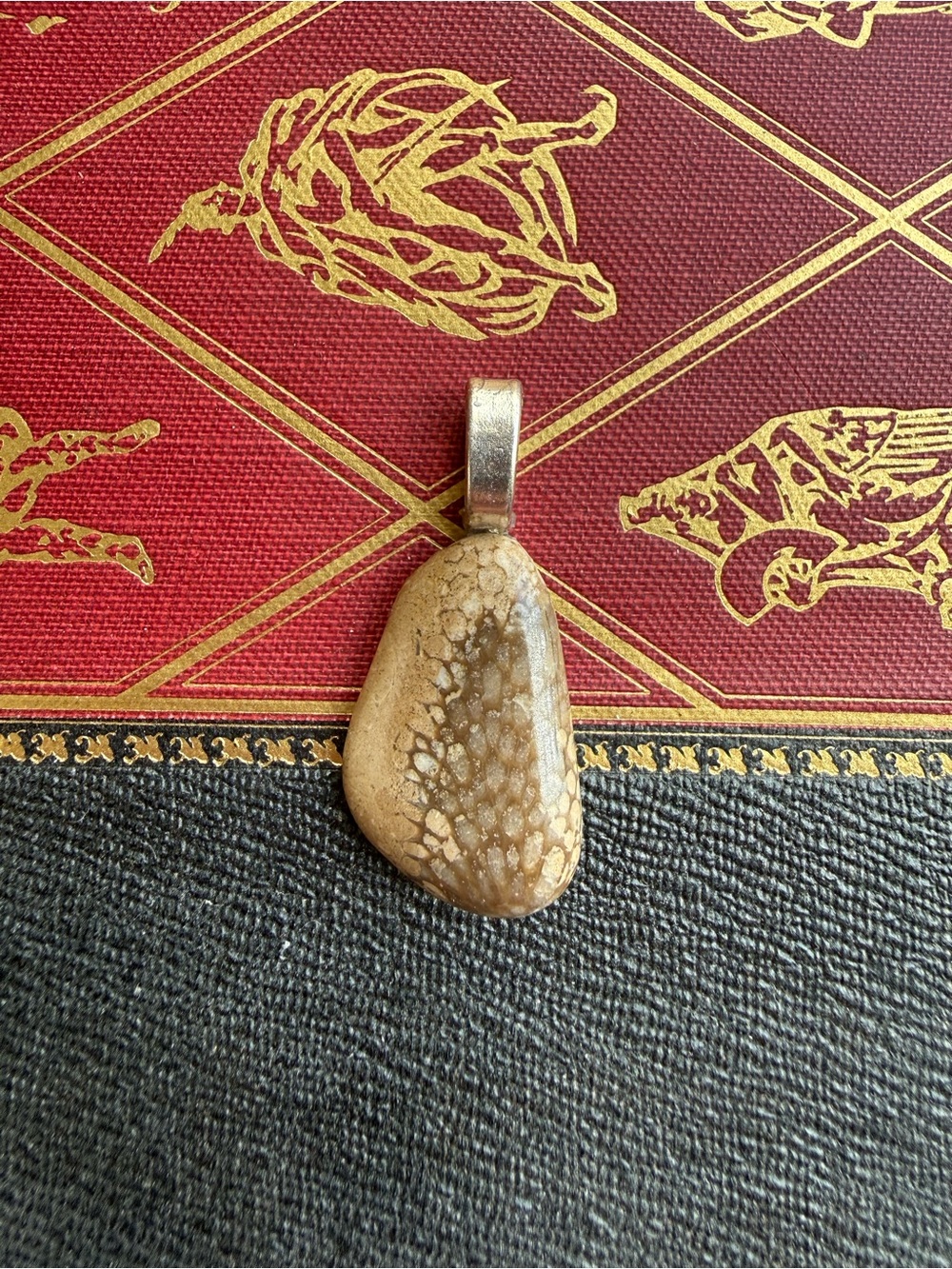 Michigan Petoskey Stone Freeform Necklace Pendant Charm